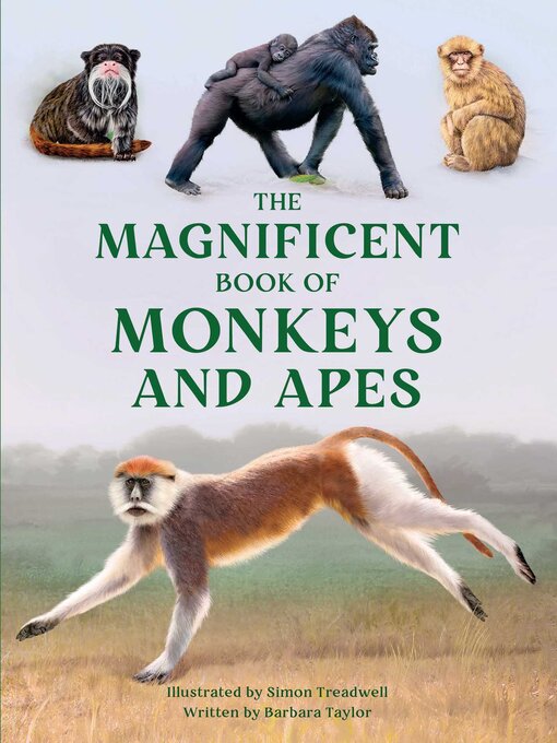 Cover image for The Magnificent Book of Monkeys and Apes